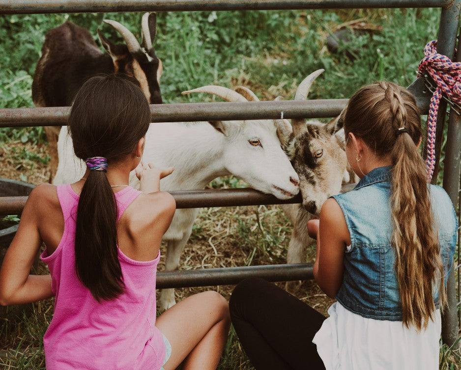 Nannies Farm Educational Tour – $15.00 Per Person